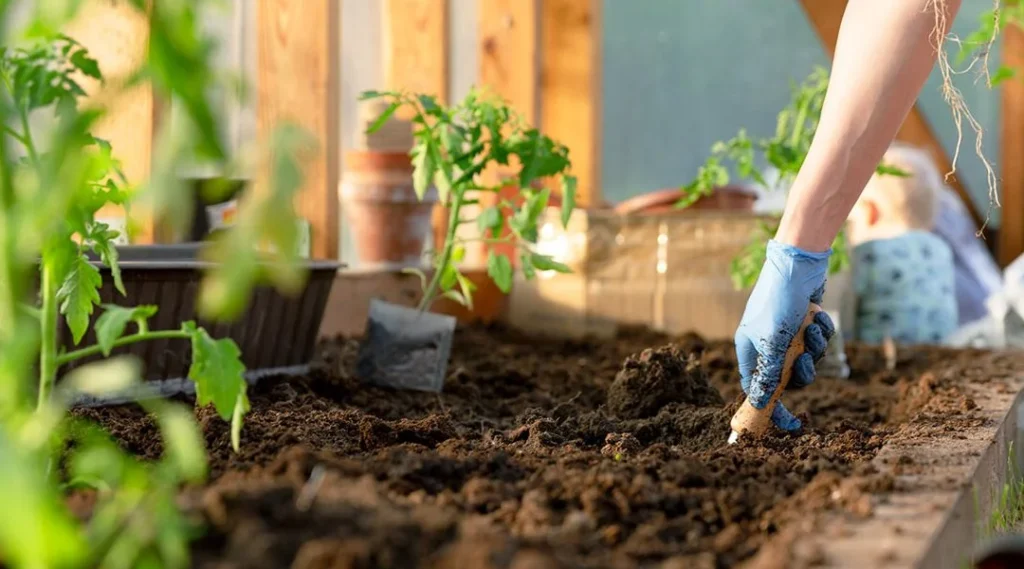 Garden Maintenance | KABCO Group