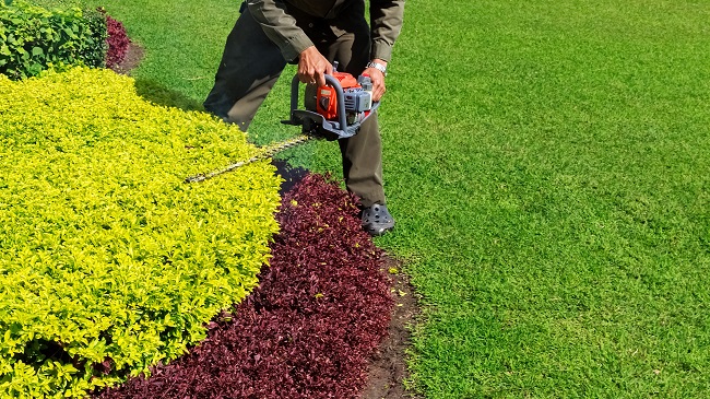 Tree and Shrub Care | KABCO Group