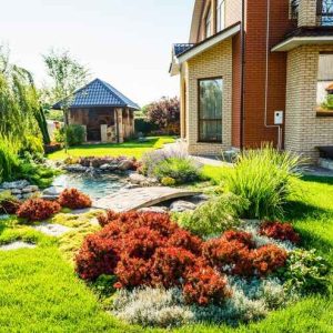 Eco-Friendly Landscaping