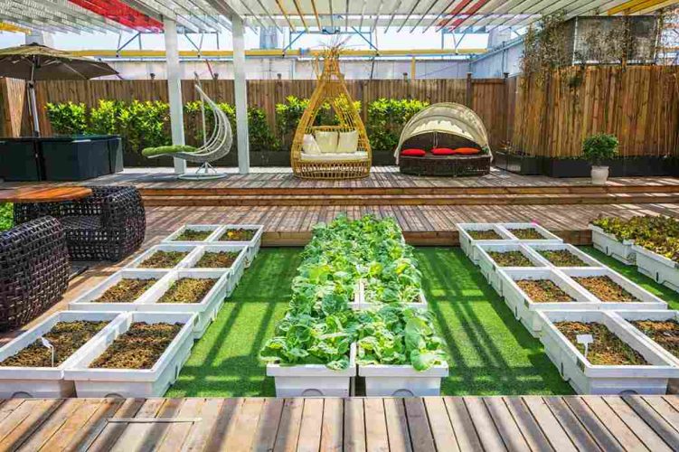 hardscape and softscape garden