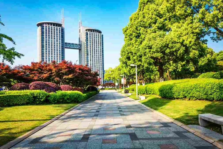 commercial landscape design