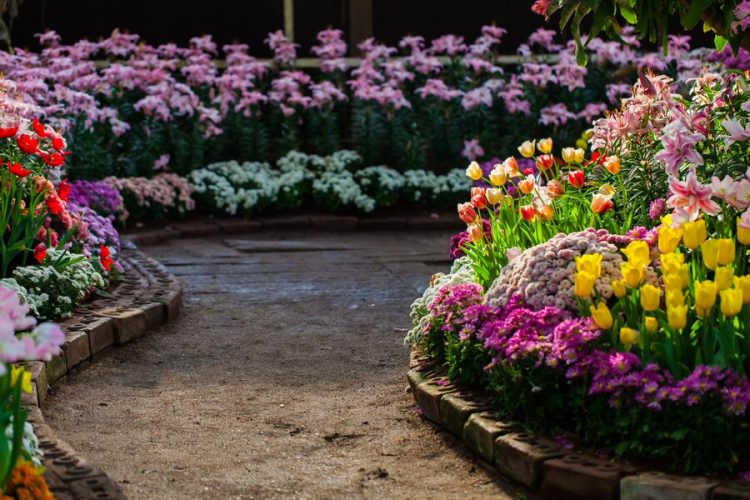 Gardening with vibrant flowers | KABCO Group