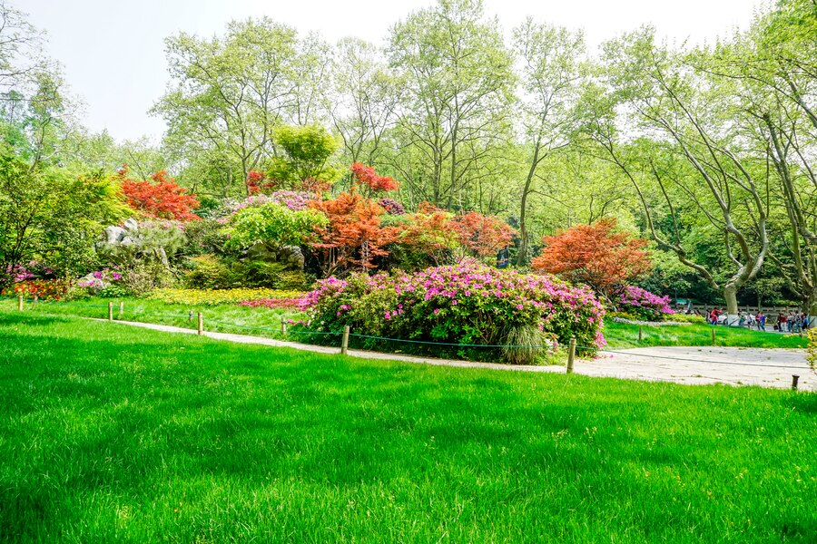 garden in dubai