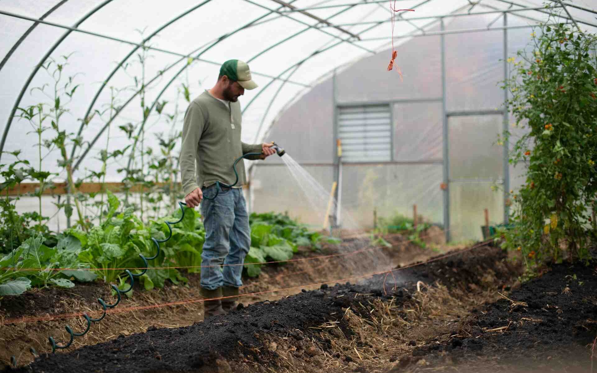 Gardener Vs Landscaper
