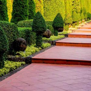 elements of a landscape design