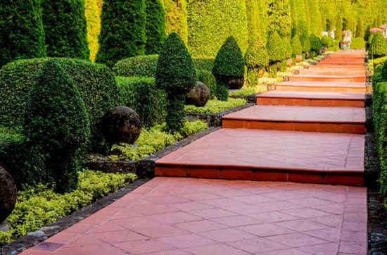 elements of a landscape design