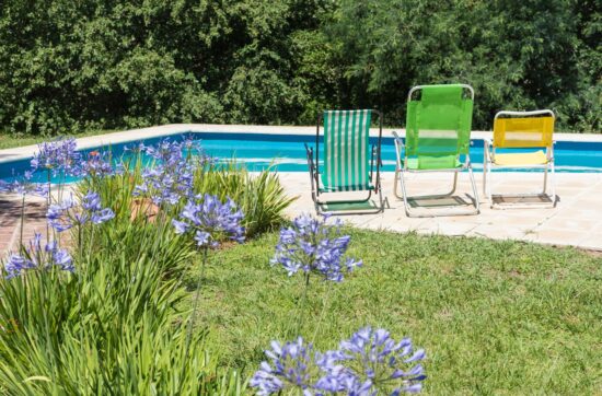 plants around the pool