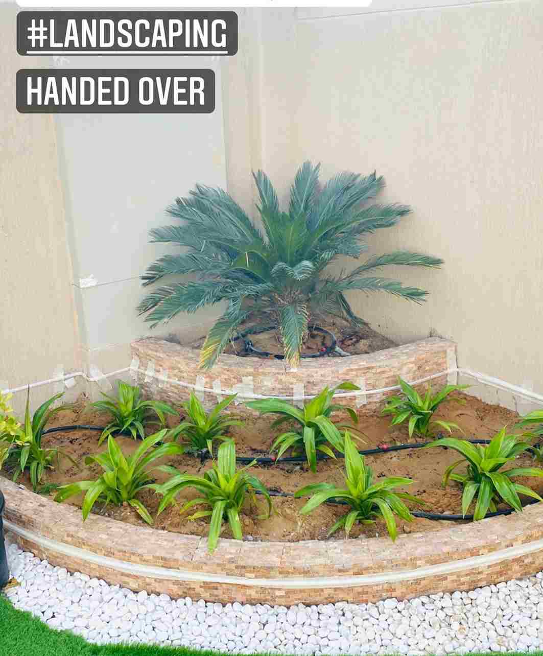 Garden Landscaping Services Dubai