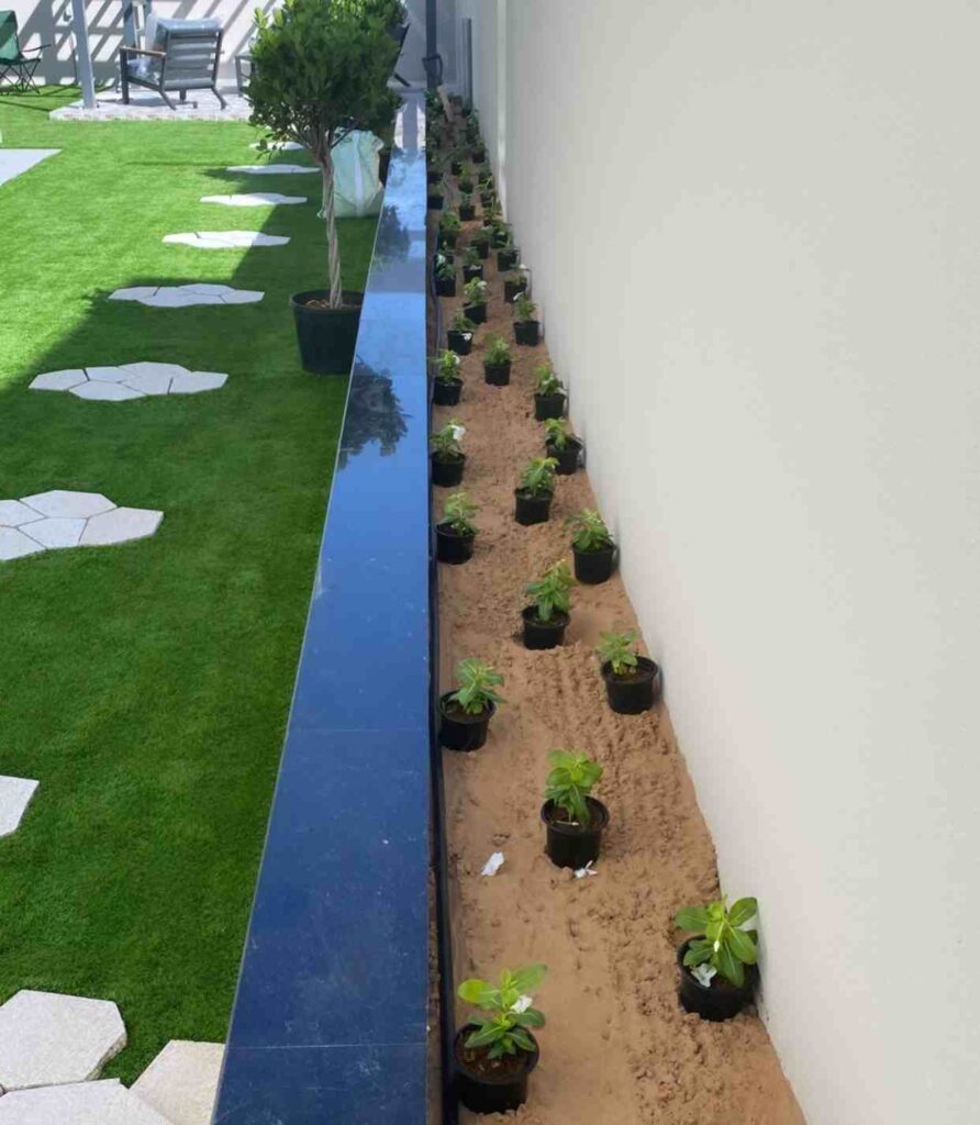 Garden Maintenance Services Dubai