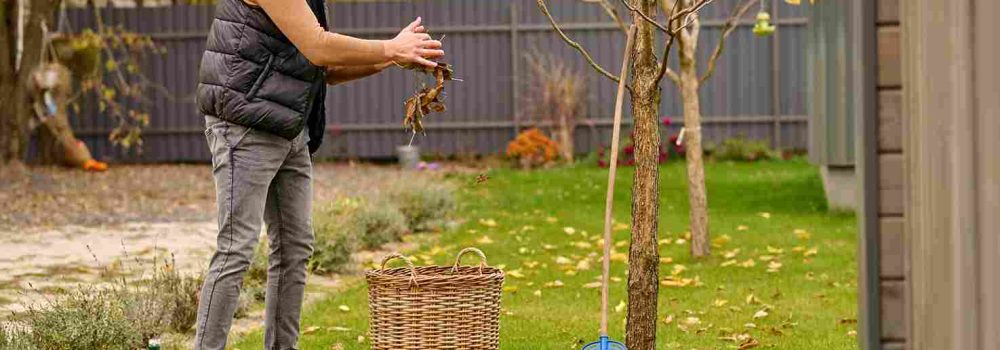 Garden Cleaning and Maintenance