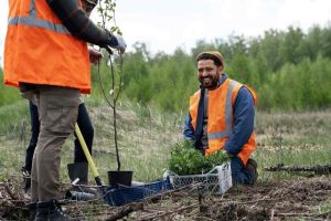 Landscape-Contractors-in-Dubai-2