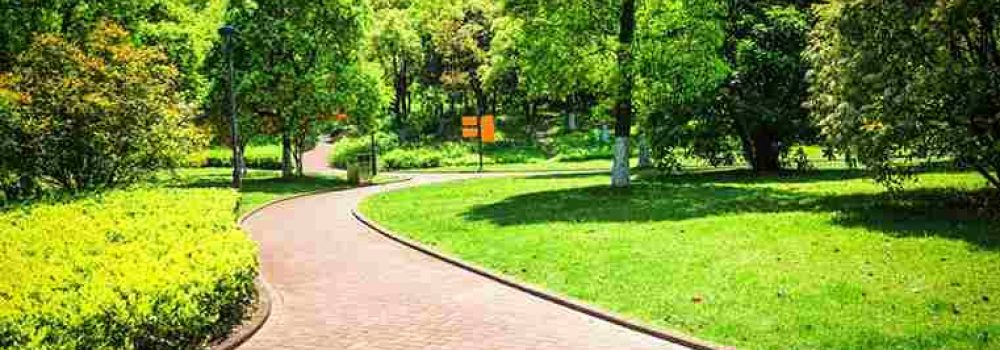 Landscaping Companies in Dubai | KABCO Group