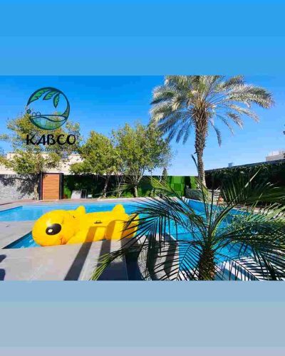 Palm trees villa pool view