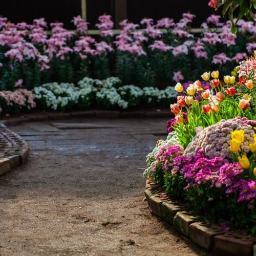 Gardening Company in Dubai | KABCO Group