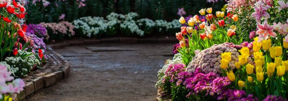 Gardening Company in Dubai | KABCO Group