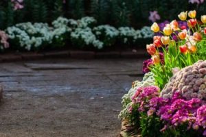 gardening-company-in-dubai