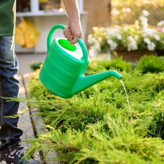 Gardening Contractor Services in Dubai | KABCO Group