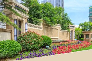 gardening-in-dubai-image1