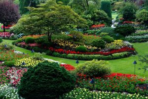 gardening-services