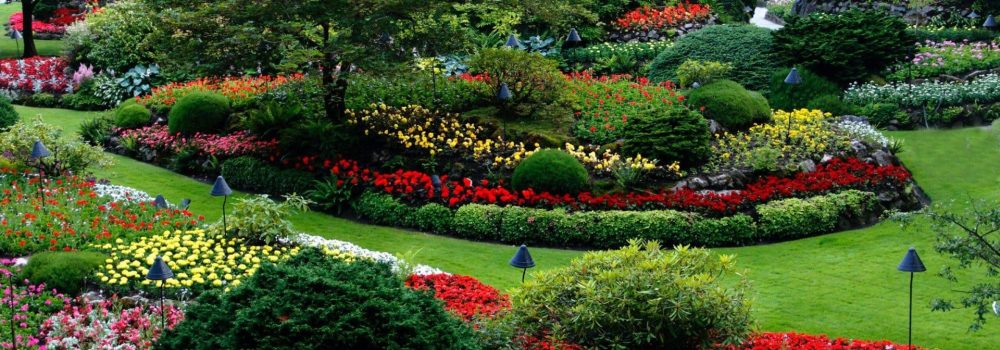 Gardening