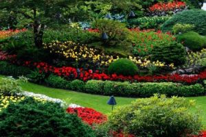 gardening-services