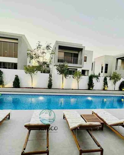 swimming pool construction and landscap