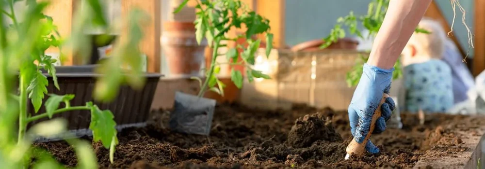 Garden Maintenance | KABCO Group