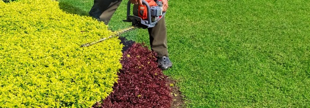 Tree and Shrub Care | KABCO Group