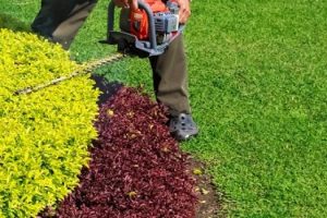 shrub-care