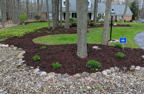 SOFTSCAPING SERVICES in Dubai | KABCO Group