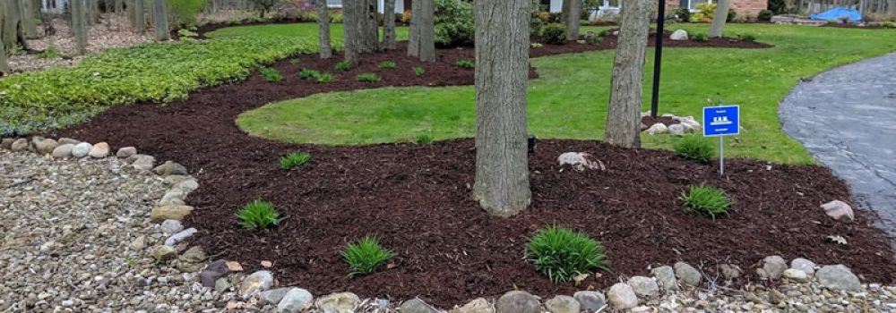 SOFTSCAPING SERVICES in Dubai | KABCO Group